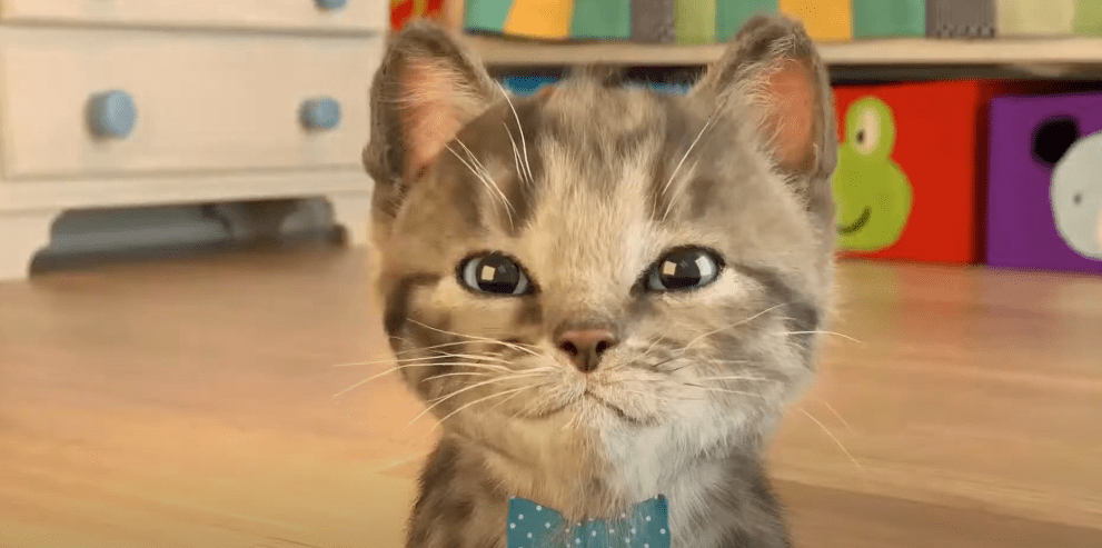 Little Kitten - My Favorite Cat на Андроид