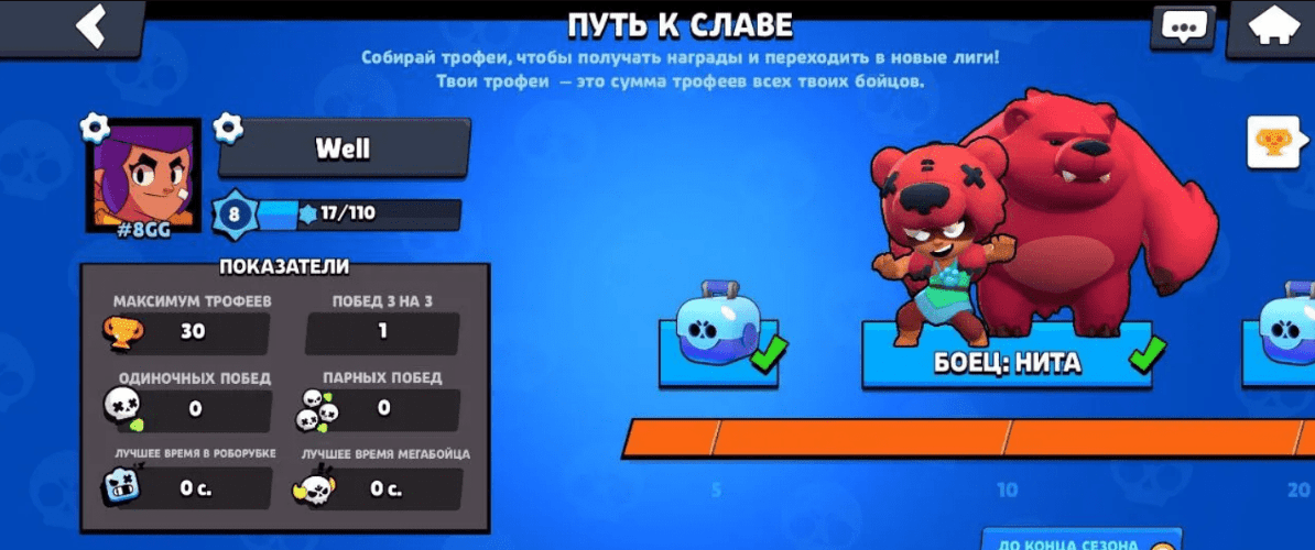 Приватный Сервер DarkBrawl 19.111 Последняя версия